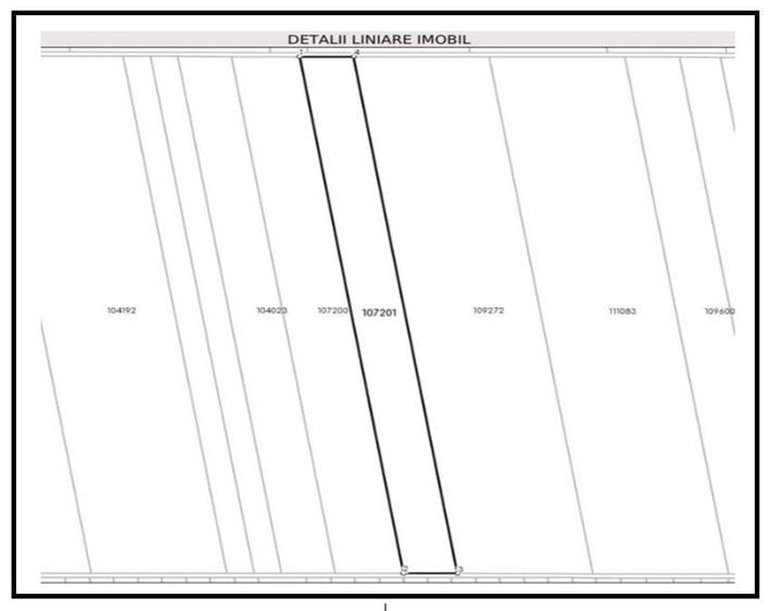 Teren extravilan de vânzare – 2 hectare în Sânandrei - 2