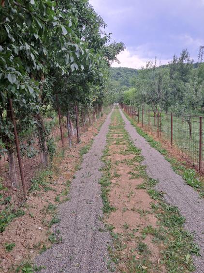 VILA IN REGIM DE INALTIME PARTER SI ETAJ ULTRAFINISATA PE 19 ARI TEREN - 42