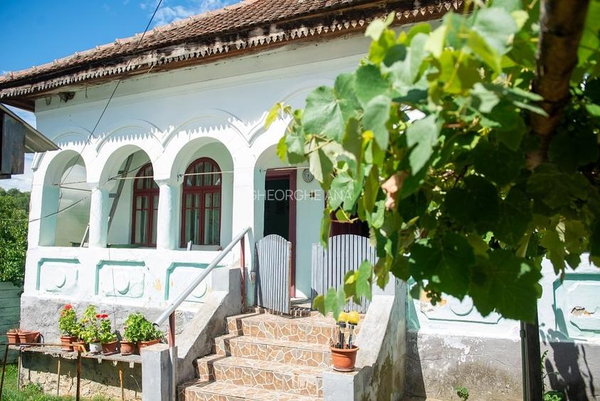 Casă cu teren 3800 mp,situată in com. Berislăvesti