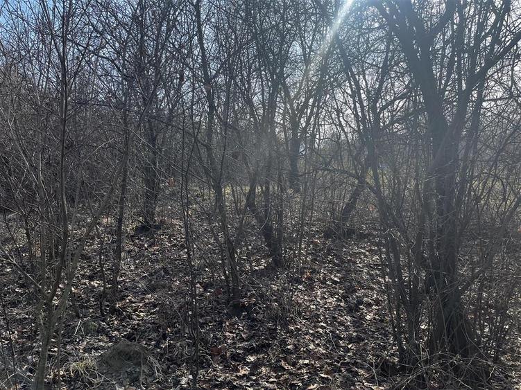 Teren de vânzare în Seciu, Prahova – 1.746 m², cu utilitati si constru - 4