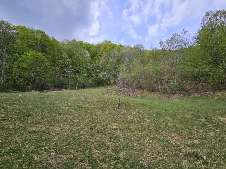 Teren intravilan 1454 mp la marginea padurii zona locuita de case! - 11