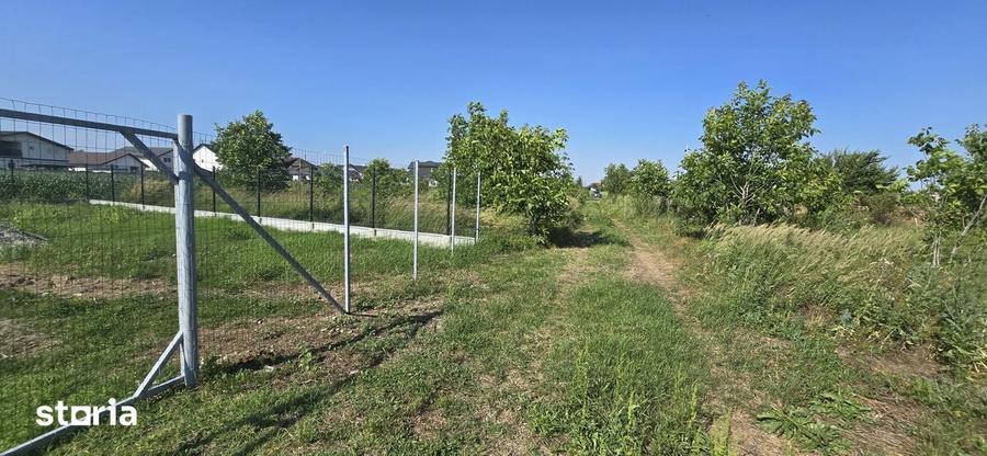 Teren intravilan Buftea - Crevedia - Manastirea, 582mp, 0%comision - 5