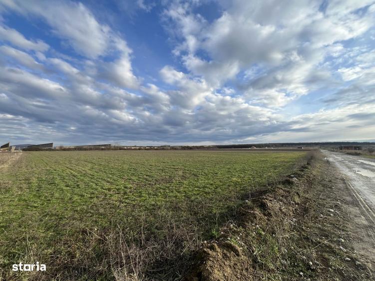 Oportunitate investitionala sau teren pretabil pentru constructii - 6