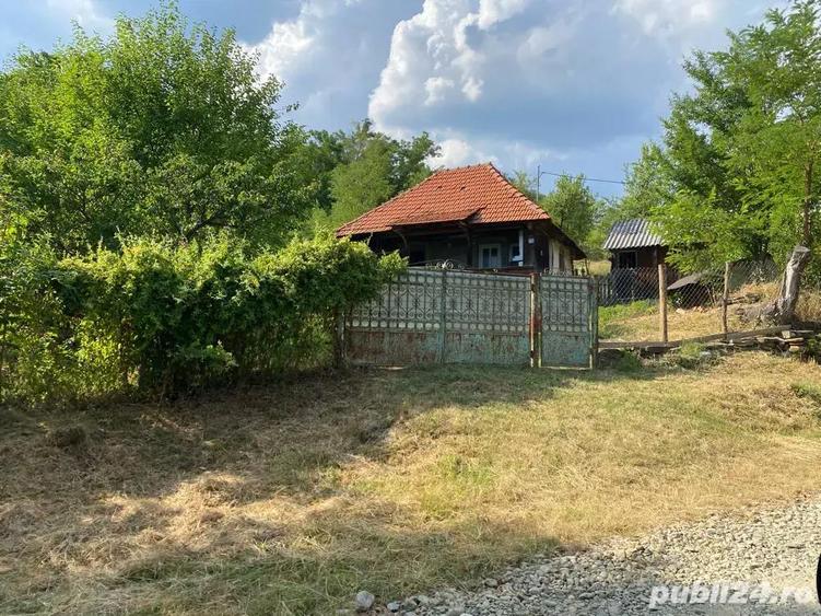 Vand casa Batraneasca - 8
