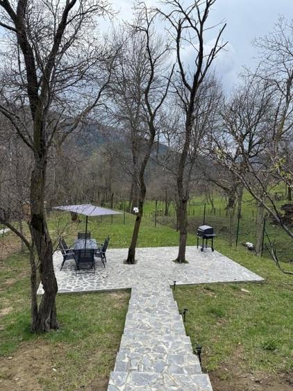 Complex A-Frame – 2 cabane construite + 3 în proiect (AC) -  suprafata 2157 mp - 8