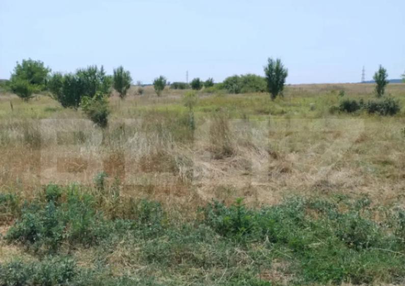 Parcele intravilan, 500 mp, str Constantei, langa Eurocartie - 3