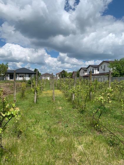 Stefanesti de Jos DJ200  Str Stadionului   Vanzare teren intravilan 3000mp - 7