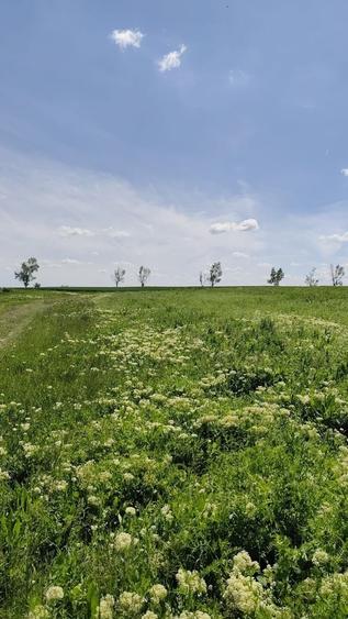 Loturi Teren Intravilan, Vedere la Lac - Frumusani - 6