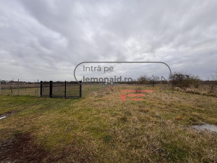 Teren Șag - intravilan agricol | 3.200 mp - 1