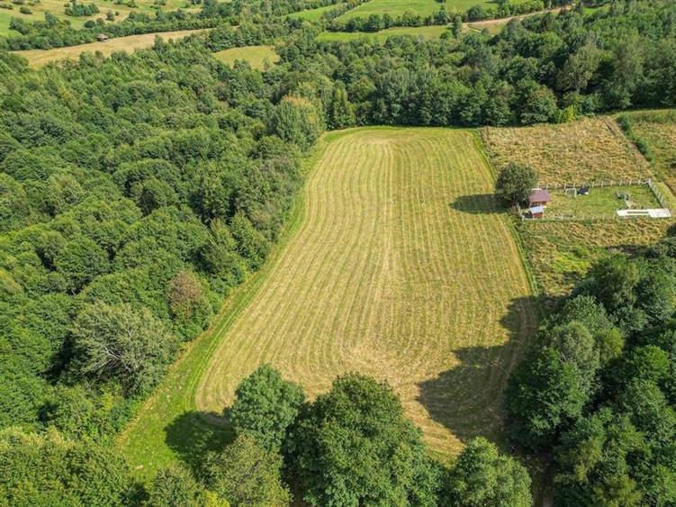 Teren de vanzare 4.500 mp  Predelut, Bran! Ideal pentru case de vacanta, glampi - 1