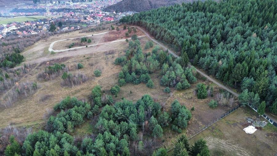 Comision 0%! Teren Sacele / Strada Valea Larga 2000 mp - 3