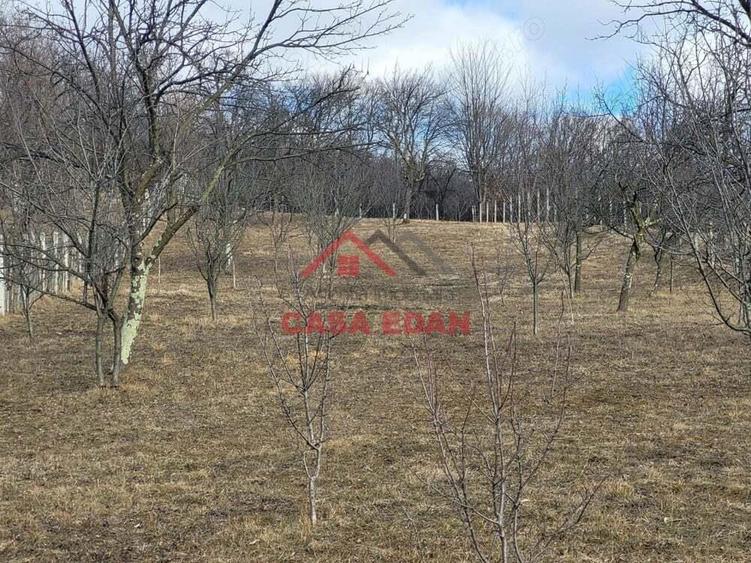 Teren intravilan in Cornu--2991mp--29e - 11