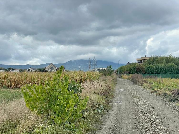 Teren industrial pretabil hala P.U.Z aprobat! - 5