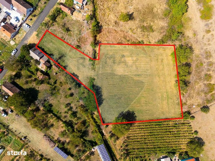 Mini?- destina?ia ideala pentru o resedin?a de lux in inima naturii. - 6