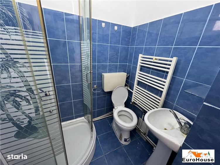 Spatiu de inchiriat in Alba Iulia zona Centru - 2