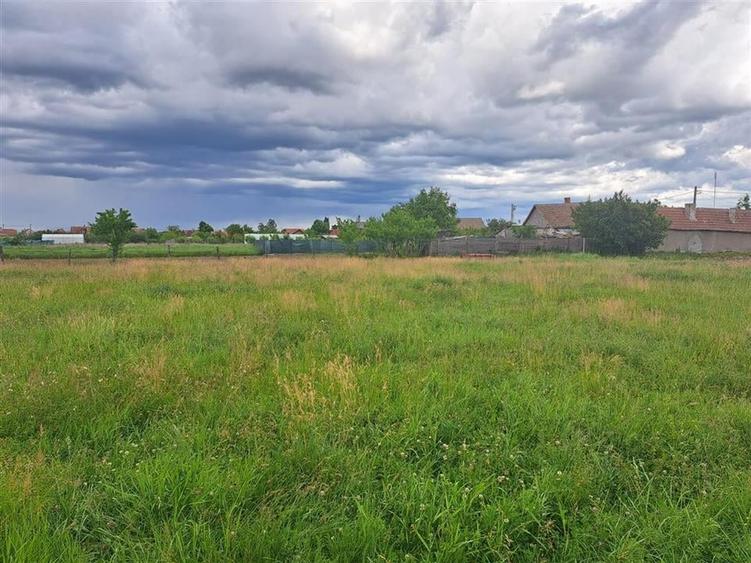 RECO Teren  intravilan in Cefa - 3