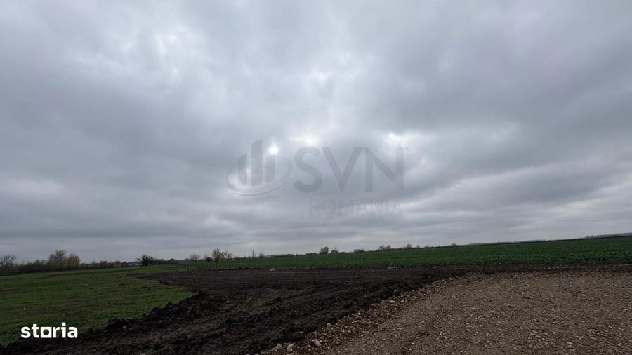 De vanzare teren in Tunari Dimieni - 1