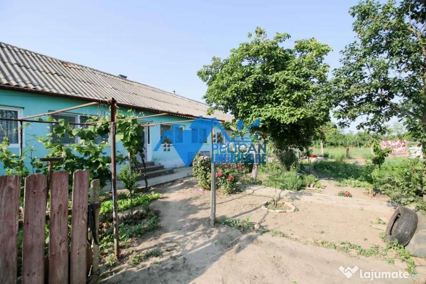 Casa cu teren in Salcioara (Jurilovca) - 2600mp - 1