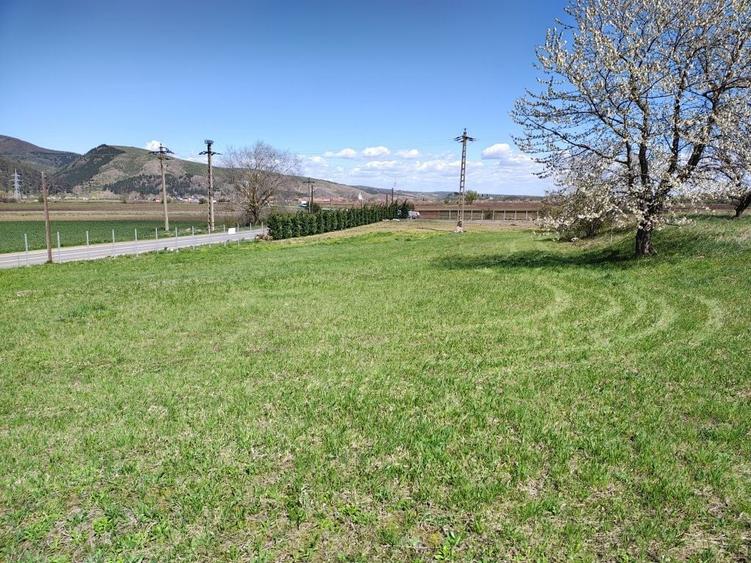 Teren de vanzare/inchiriat la 11 km de Autostrada - 5