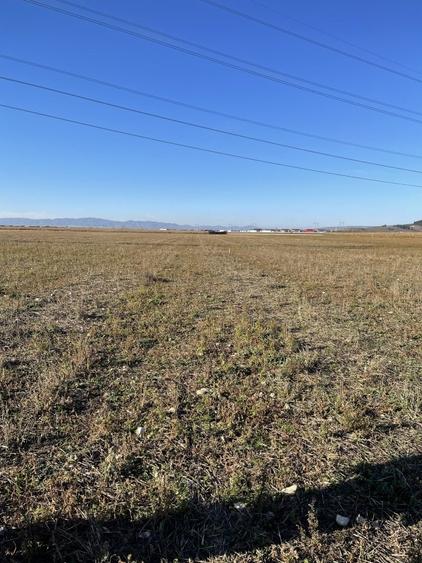 Teren intravilan Triaj - 9