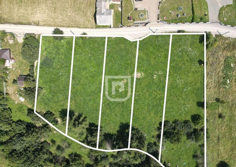 Teren INTRAVILAN Gura Humorului Arinis Bucovina - 6