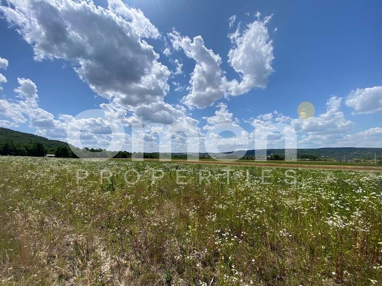 Teren de vanzare in Coas, zona linistita - 5