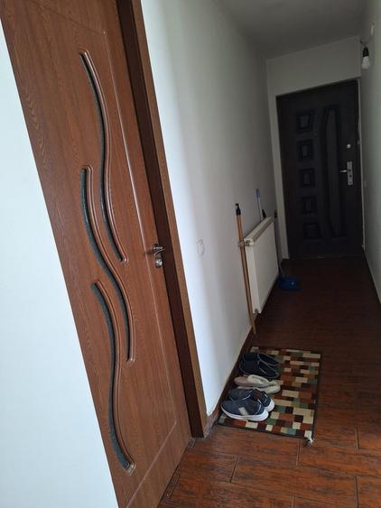 Gradistea, casa de vanzare - 4