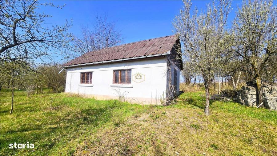 Casa cu 2 camere si livada | Teren 4.395 mp cu alee printre 70 de pomi - 7