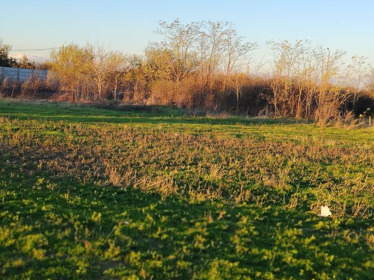 Vand teren Tanganu - 2