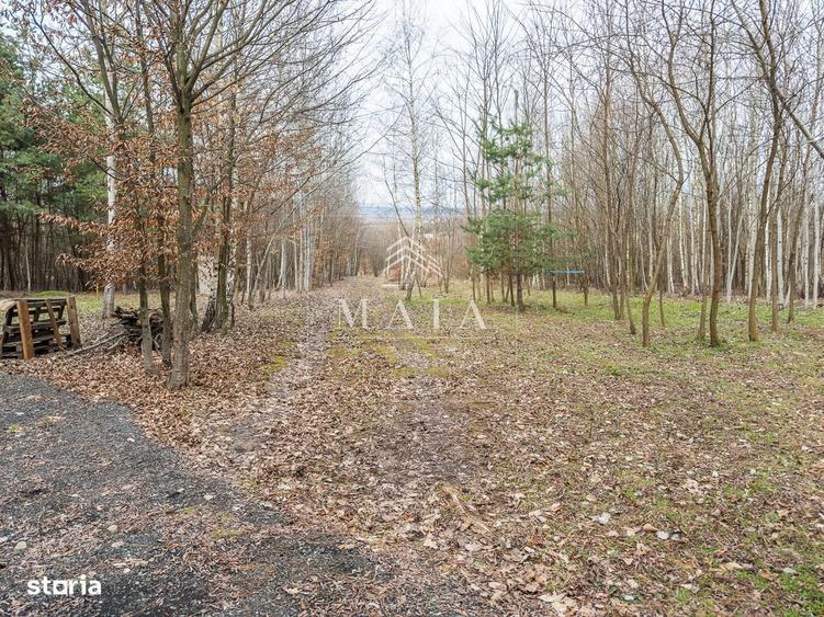 Teren extravilan 2200 mp, zona Calea Poplacii, la 5 min de Valea Aurie - 1