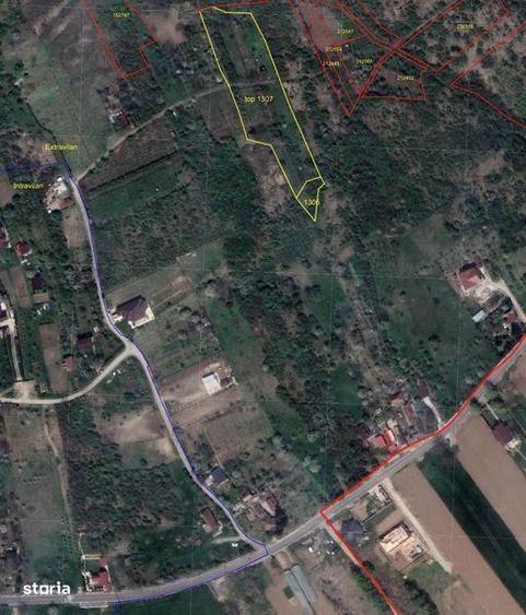 Teren Podgoria extravilan 1200 mp - 1