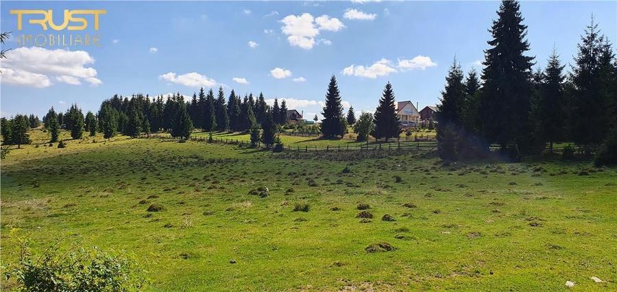 Oportunitare | Teren 1350 mp cu PUZ | Belis - 6