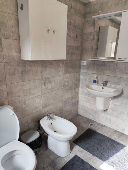 Vand apartament Blv Dem Radulescu - 12