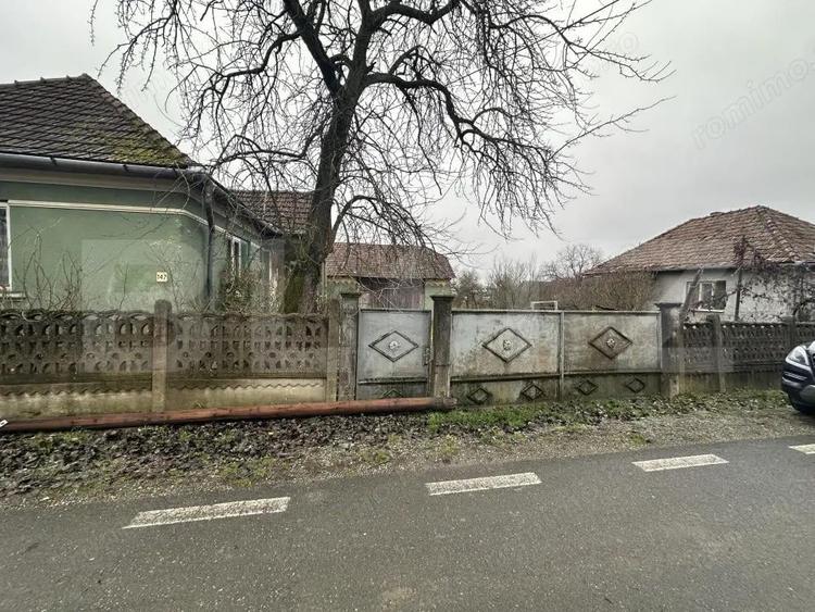 Teren 3000 mp + 2 case de vanzare-Ca?eiu - 4