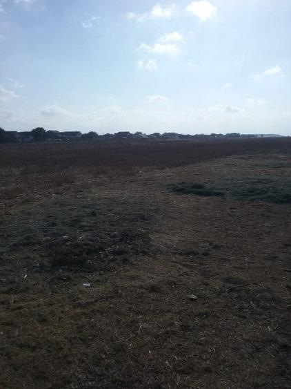 Exclusiv! Teren intravilan 6.100 mp - Cumpana - 29 euro/mp  (Cod E3) - 5