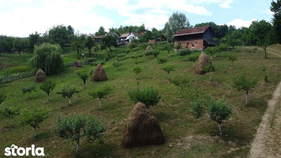 Teren de vanzare in comuna Cicane?ti, sat Bara?ti, Judet Arges. - 1