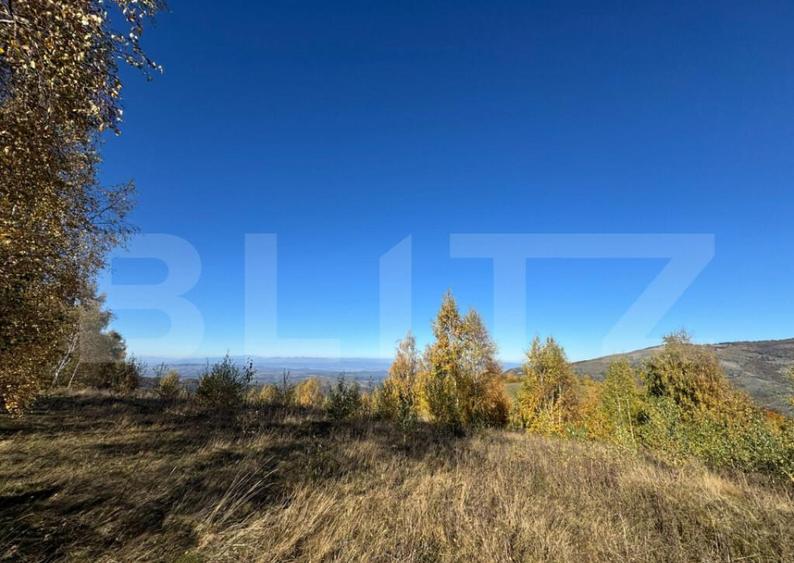 Teren extravilan de 18.769 mp in Tarsa - 1