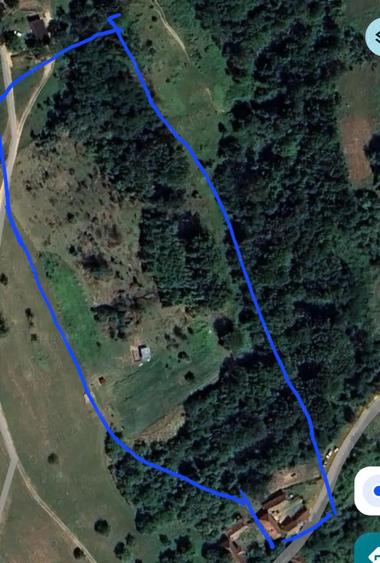 De vanzare casa la padure - 4