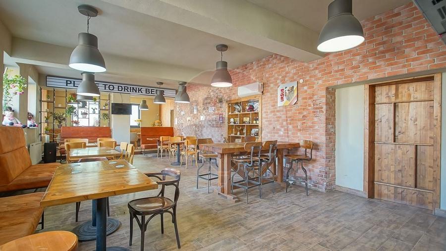 Spatii comerciale de inchiriat in Bod, suprafata 535 mp,  3 intrari - 16