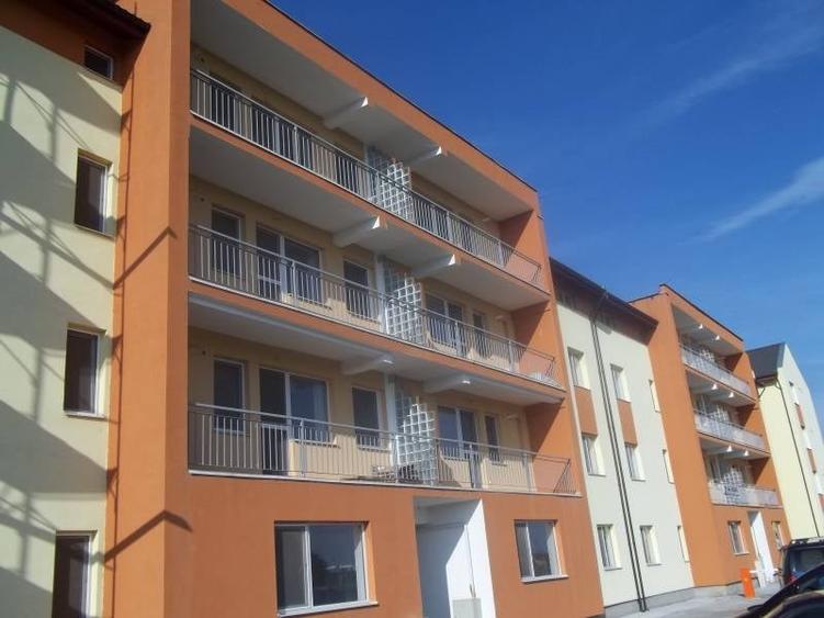 Dumbravita 2 camere 350 euro - 1