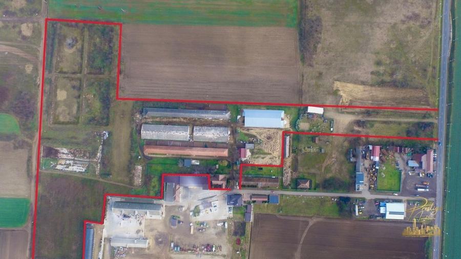 Domeniu - Centru de colectare, 7 ha de vanzare in Valea lui Mihai - 4