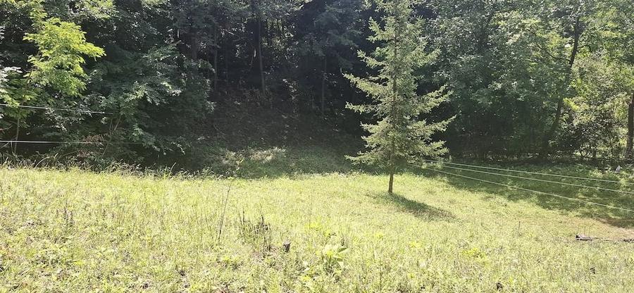 Teren intravilan Breaza Valea Prahovei 579 mp - 1