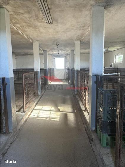 Casă cu 3 camere în Florești