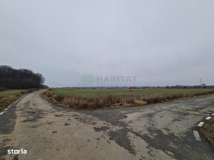 Teren de 8569 mp, în Ciolpani