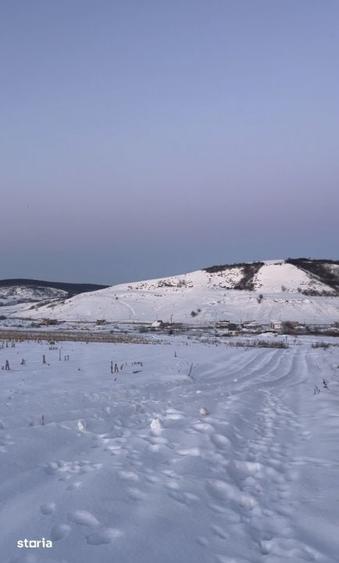 Teren de 600 mp, în Chinteni