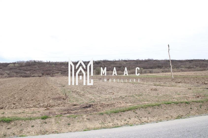Teren agricol intravilan de 7390 mp, în Racovița