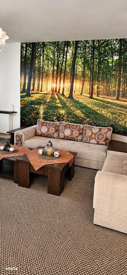 Apartament cu 2 camere decomandat în Avantgarden