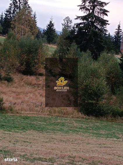 Teren de 3300 mp, în Râșca