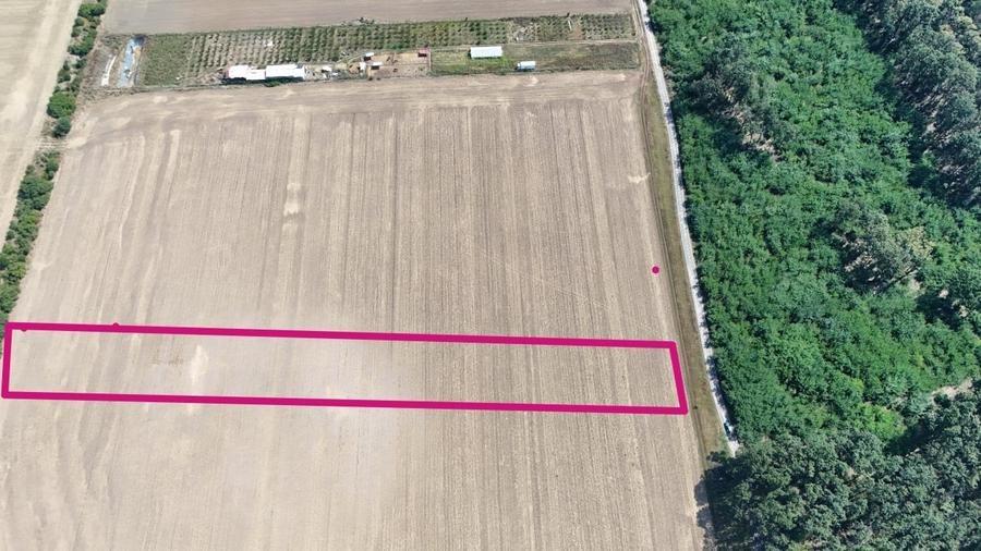 Teren Construcții intravilan de 7254 mp, în Buftea