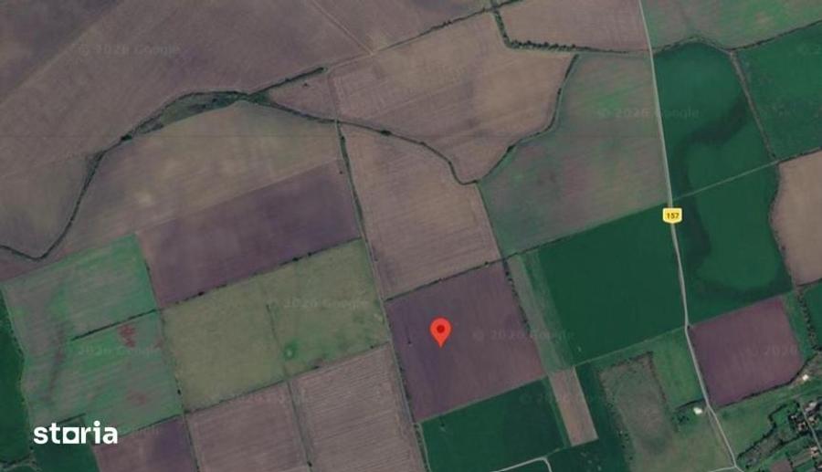 Teren de 5800 mp, în Avrămeni